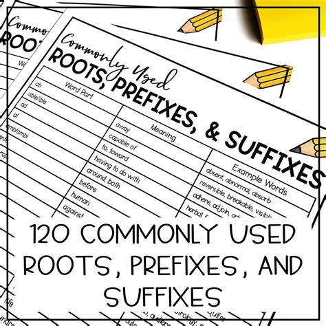 What is the Greek root for brain