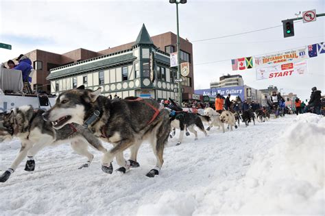 What is the Iditarod and what does it commemorate