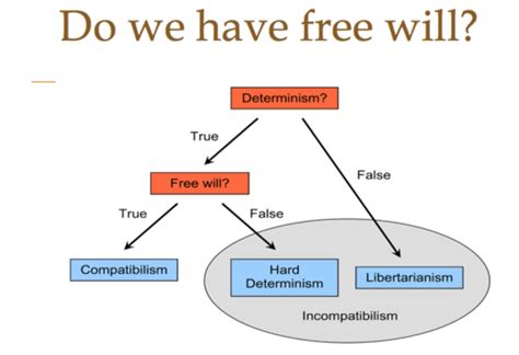 What is the Problem of free will quizlet