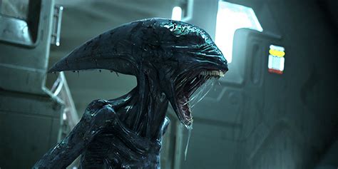 What is the Xenomorph in Prometheus