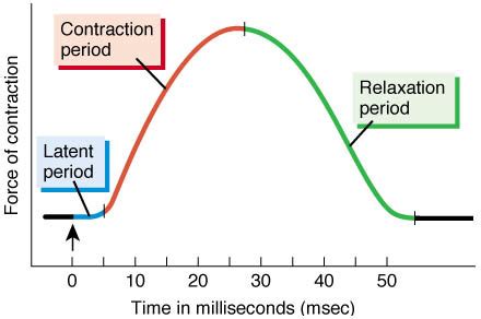 What is the all or none principle quizlet