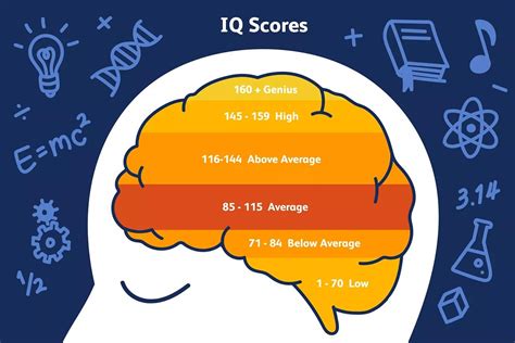 What is the average IQ of the brain