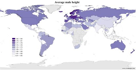 What is the average height of humans in the world