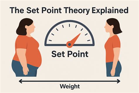 What is the basic idea of set point theory