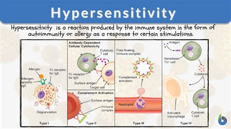 What is the best definition of hypersensitivity