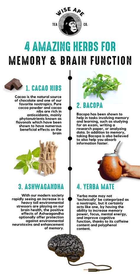 What is the best herb for the brain