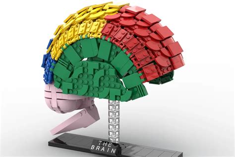 What is the brain of a LEGO brain