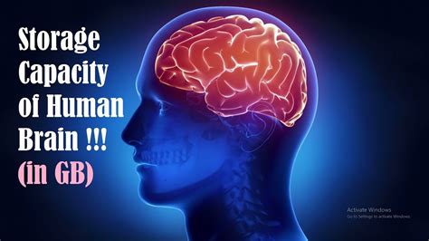 What is the capacity of the human brain