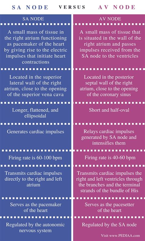 What is the difference between SA and SAA