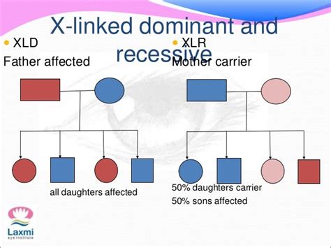What is the difference between X linked dominant and X linked recessive