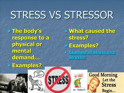 What is the difference between a stressor and a trigger
