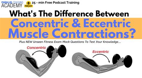 What is the difference between concentric and eccentric contractions