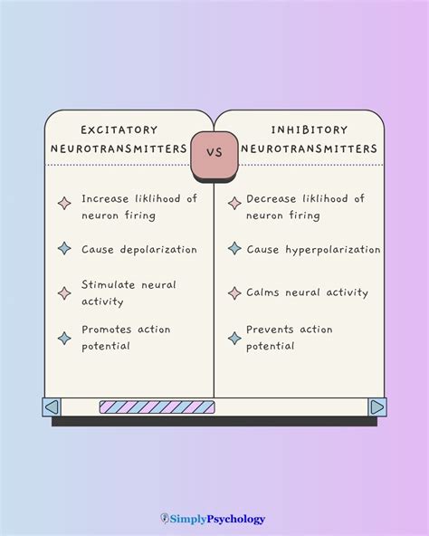 What is the difference between excitatory and inhibitory neurotransmitters
