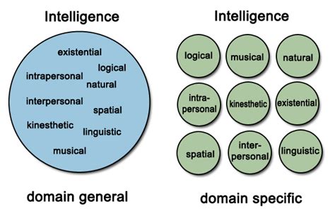 What is the difference between general intelligence and specific intelligence