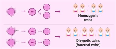 What is the difference between identical and nonidentical twins