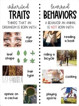 What is the difference between inherited traits and learned behaviors