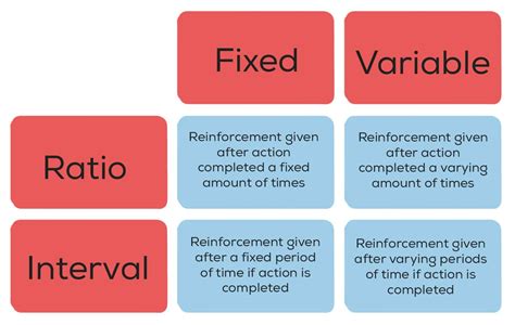 What is the difference between ratio and interval schedules of reinforcement