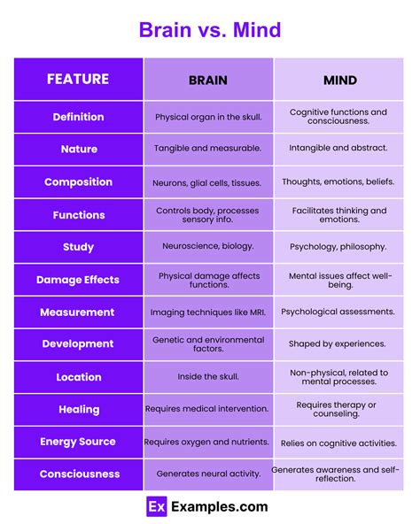 What is the difference between the mind and the brain quizlet