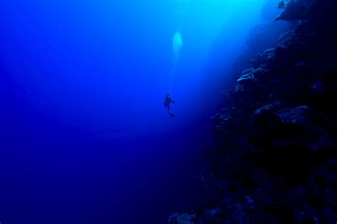 What is the fear of open water called