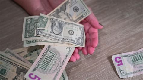 What is the female of widower called