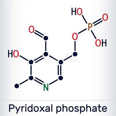 What is the full form of PLP