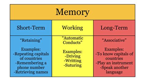 What is the function of short term memory