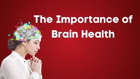 What is the importance of the brain