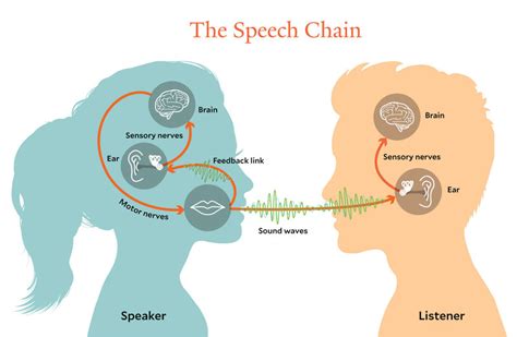 What is the language of mind