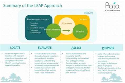 What is the leap approach