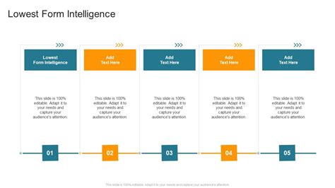 What is the lowest form of intelligence
