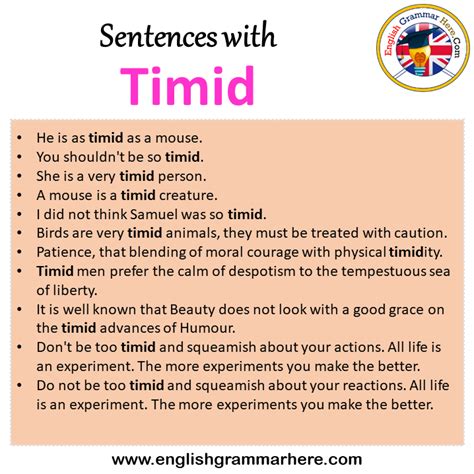What is the make sentence of timid