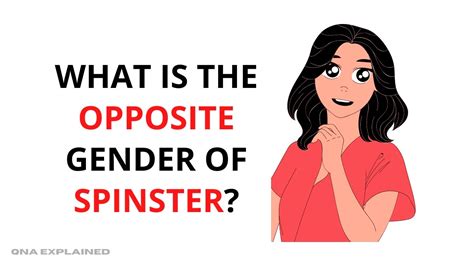 What is the male of spinster