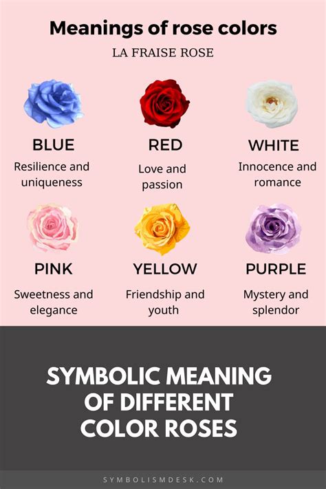 What is the meaning of a rose is a rose is a rose