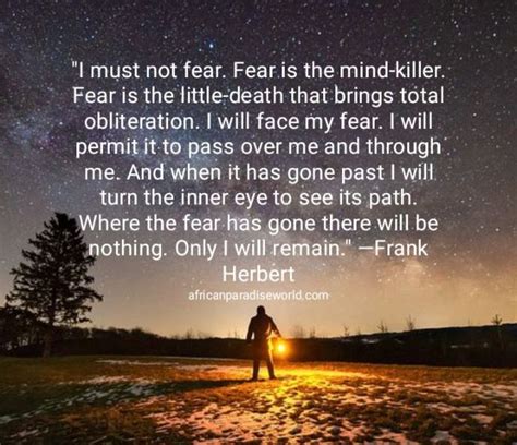 What is the meaning of fear is the mind killer