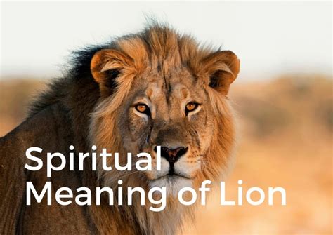 What is the meaning of lionize