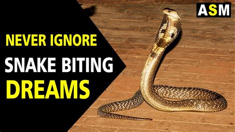 What is the meaning of snake bite in a dream