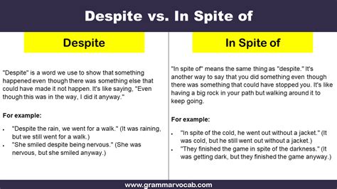 What is the meaning of spite