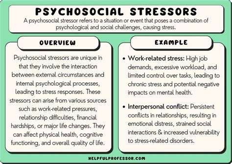 What is the meaning of stressors