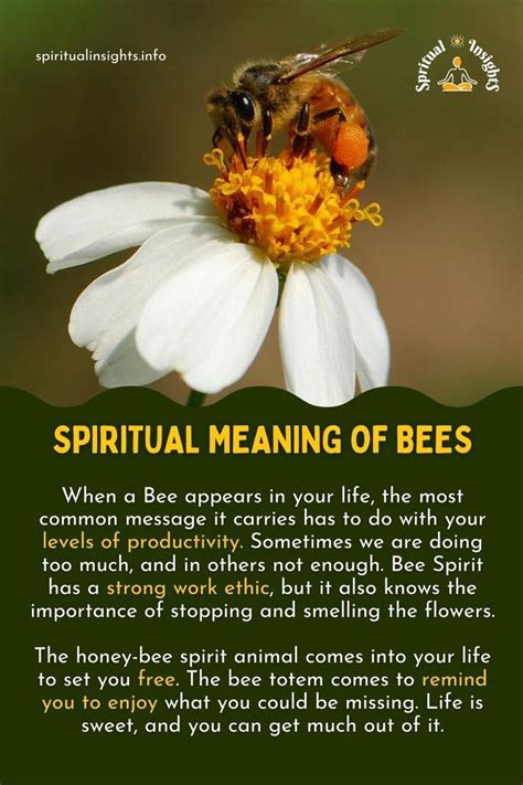 What is the meaning of the birds and the bees