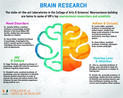 What is the modern study of the brain