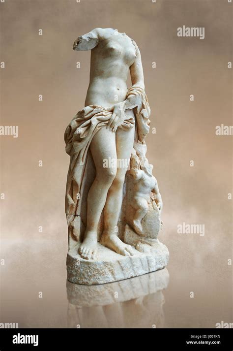 What is the modest Venus