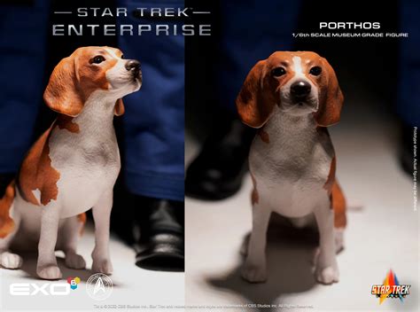 What is the name of the dog in Star Trek
