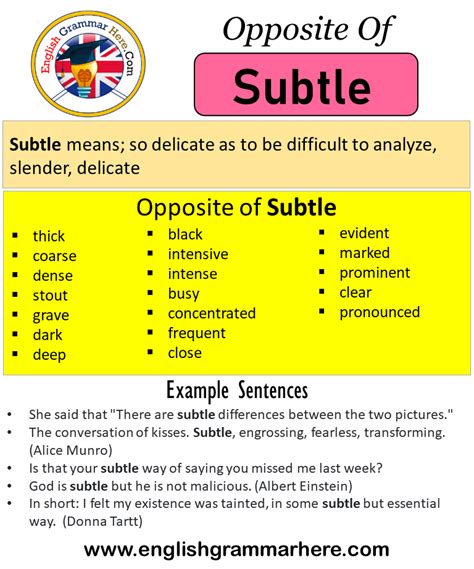 What is the opposite of subtlety