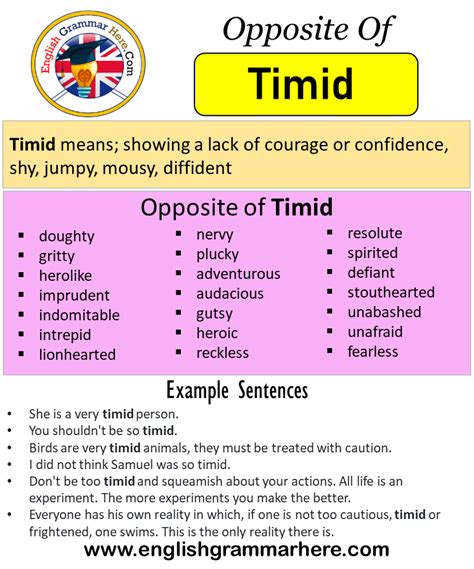 What is the opposite of timidity