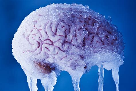 What is the point of brain freeze