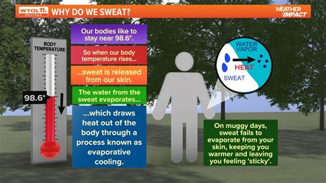 What is the point of sweating