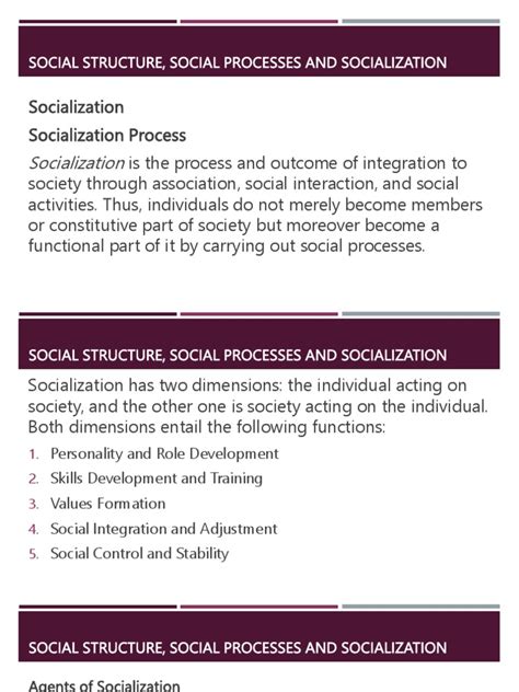 What is the processes of socialization