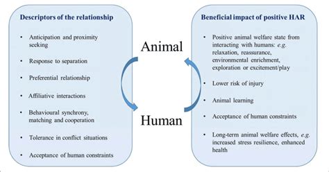 What is the relationship between human and animals