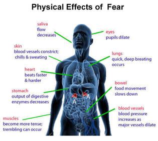 What is the side effect of fear