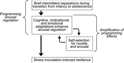 What is the stress inoculation hypothesis